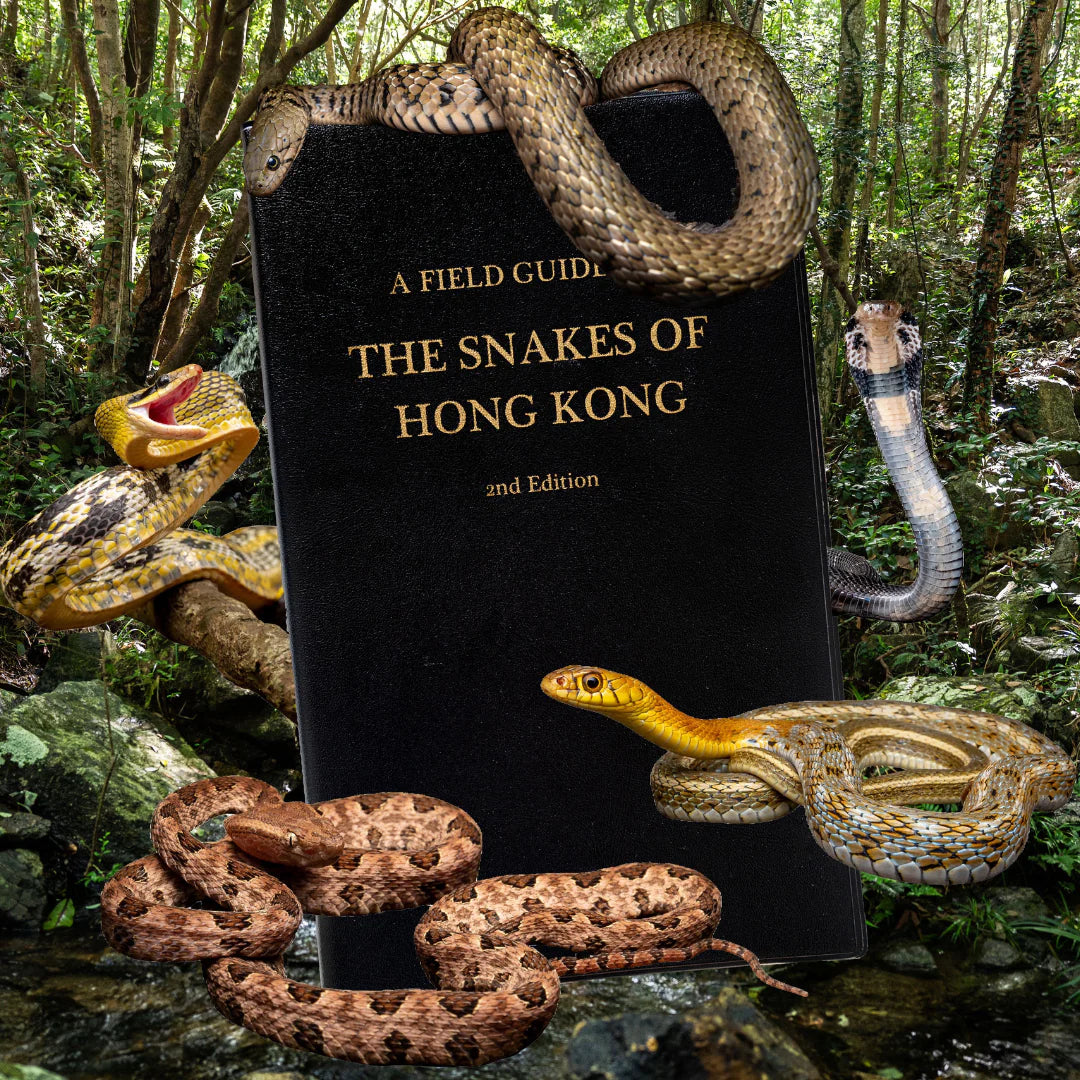 BOOK: A Field Guide to the Snakes of Hong Kong